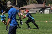 OTFL Gallery Image